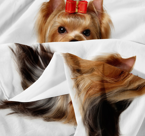 Pościel 140 x 200 2cz Mikrofibra 3D Andreas 3036