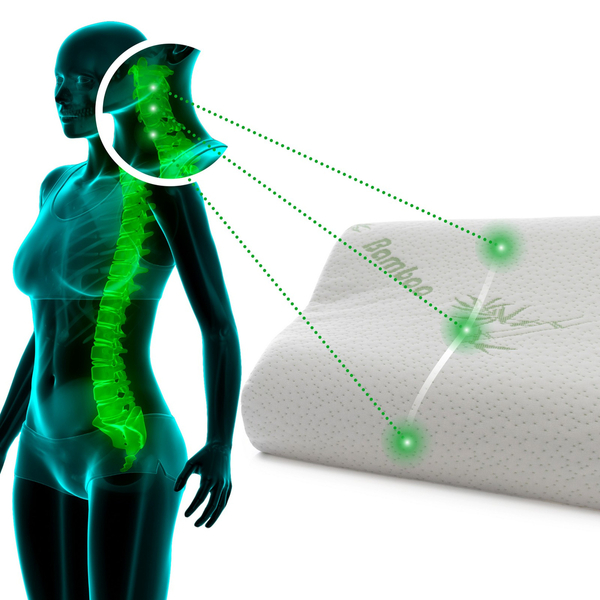 30 x 50 Orthopedic Bamboo Memory Pillow Defna