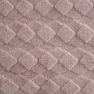 Blanket 150 x 200 Stamped Plush Nancy Powder