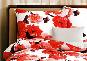 Bedding 160 x 200 3pcs Cotton Satin Elway 5038