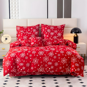 Pościel 160 x 200 3cz Flanelowa Riccardo 01