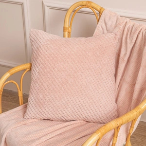 70 x 150 Plush Microfiber Willy Powder Blanket