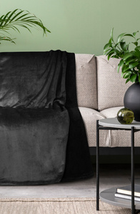 Blanket 150 x 200 Microfiber Two-sided Tedy Black