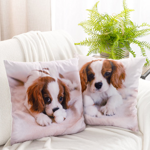 Pillowcase 45 x 45 Decorative Print Animal 72