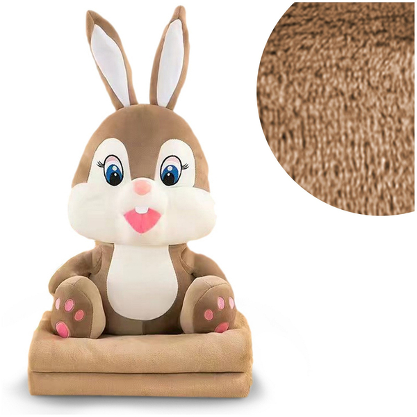 Blanket with Pillow-Mask 46