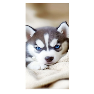 Ręcznik 70 x 140 Kąpielowy Holiday 210