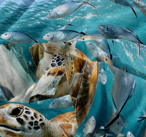 Pościel 140 x 200 2cz Mikrofibra 3D Andreas 3035