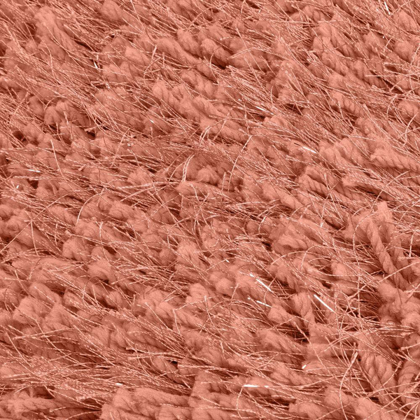 Carpet 60 x 90 Celia Shaggy Coral