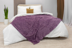 Blanket 200 x 220 Microfiber Stamped Larissa 05