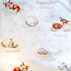 Cushion cover 40 x 40 Cotton for Jasiek Pillow Belluno 259