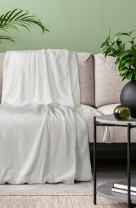 Blanket 150 x 200 Microfiber Two-sided Tedy White