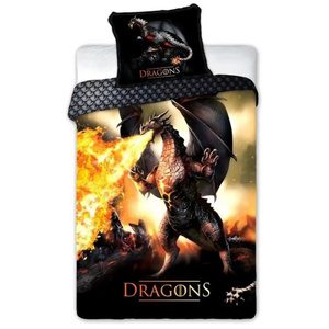 Bedding 160 x 200 Youth 027 Fiery Dragon