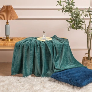 70 x 150 Plush Microfiber Willy Bottle Blanket