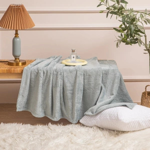 70 x 150 Plush Microfiber Willy Grey Blanket