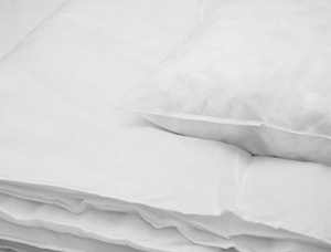 Cushion Insert 50 x 60 Non-Woven Silicone Amalia