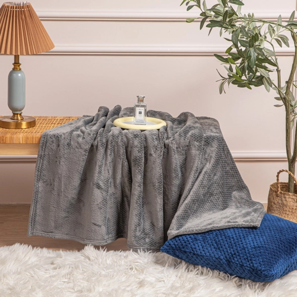 Blanket 200 x 220 Plush Microfiber Willy Graphite
