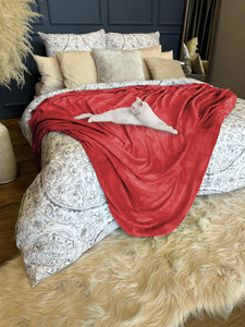 Blanket 160 x 200 Microfiber Solid Juana 12