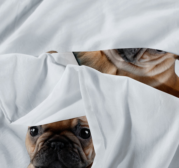 Pościel 140 x 200 2cz Mikrofibra 3D Andreas 3030