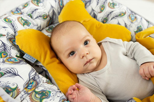 Mattress 55 x 80 Positioning Nest Velvet 03