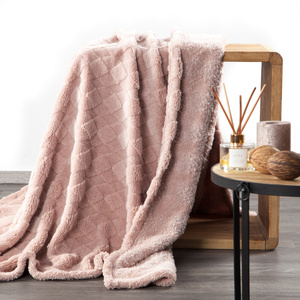 70 x 160 Stamped Plush Nancy Powder Blanket