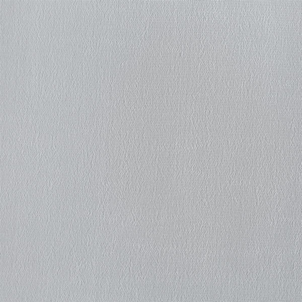 Firana Dekoracyjna Dalia 140 x 250 Przelotki Biały