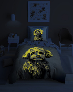 Bedding 140 x 200 2pcs FLUO Youth Jaime 5421A