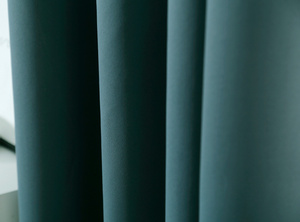 Curtain 140 x 250 on Tape Blackout Edoardo 08