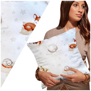 Cushion cover 40 x 40 Cotton for Jasiek Pillow Belluno 259