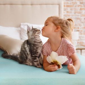 Jersey3 sheet 120 x 200 Cm, H.25 cm Beige