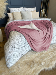 Blanket 200 x 220 Microfiber Solid Juana 10