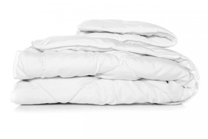 Year-round set Quilt + 40x60 Quilted 40x60 90x120