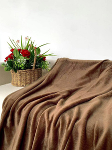 Blanket 200 x 220 Microfiber Solid Juana 03