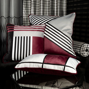 Eva Minge Decorative Pillow 30 x 50 EVA9