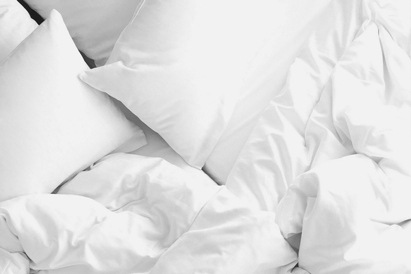 Cotton pillowcase 40 x 40 Hotel Smooth Axel Plant