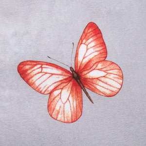 Pościel 140 x 200 2cz Flanela Bawełna Leta 31512/2