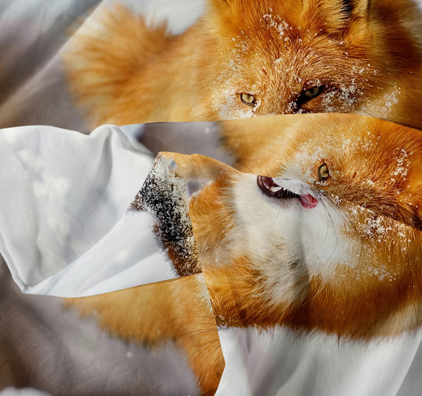 Pościel 160 x 200 3cz Mikrofibra 3D Andreas 3032