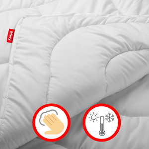 Quilt 200x220 Anti-allergenic Mery Year-round 01