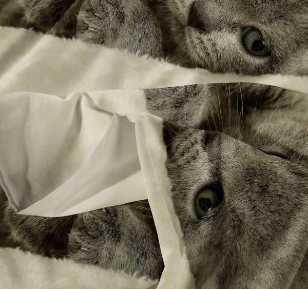 Pościel 160 x 200 3cz Mikrofibra 3D Andreas 3029