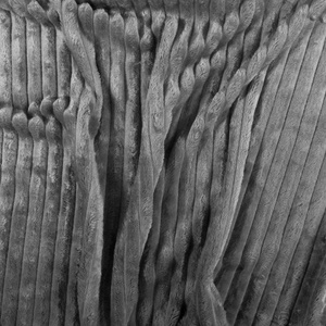 Blanket 200 x 220 Microfiber Stamped Ardea Stripes 10