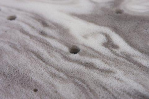 Materac 140 x 70 x 10 Ortopedyczny Eco Pantera