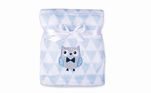 Blanket 75 x 100 Microfiber with Embroidered Ricco RI2A