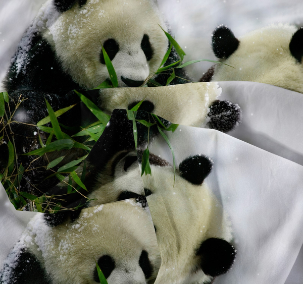 Pościel 160 x 200 3cz Mikrofibra 3D Andreas 3031