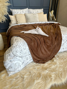 Blanket 160 x 200 Microfiber Solid Juana 03