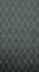 Zasłona Pierre Cardin Margo Srebrny 140 x 250 Przelotka