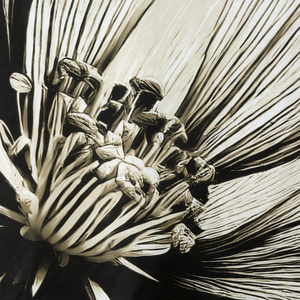 Bedding 140 x 200 2cz Satin Cotton Spring 78