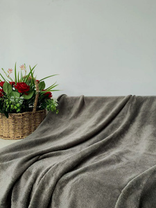 Blanket 200 x 220 Microfiber Solid Juana 04