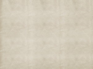 Tablecloth Vinyl Table Cover 140 x 120 Gosia 46