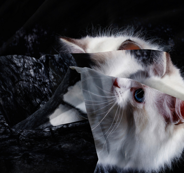 Pościel 140 x 200 2cz Mikrofibra 3D Andreas 1491