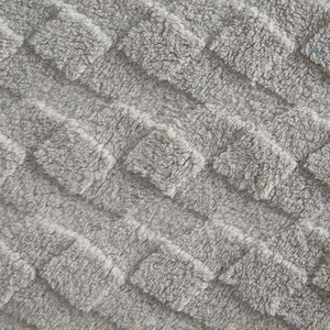 70 x 160 Stamped Plush Nancy Silver Blanket