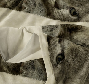 Bedding 160 x 200 3pc Microfiber 3D Andreas 3029